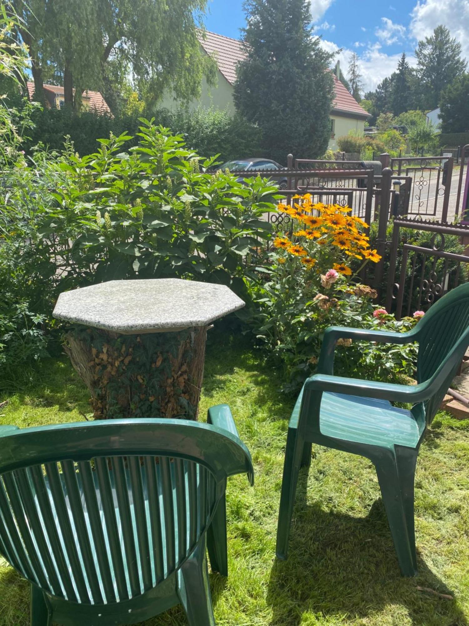 Haus Heiken Apartment Lavendel Алтенбург Екстериор снимка